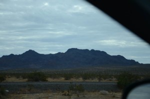 DSC_7554
