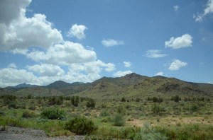 DSC_7758