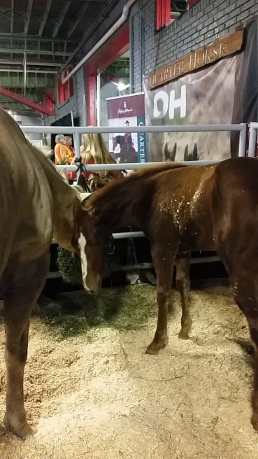 Snapchat-3705048458014933682