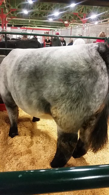 Snapchat-3797646969917461307